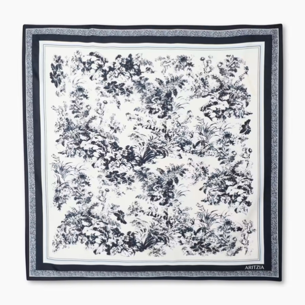 Aritzia Elite Silk Scarf.